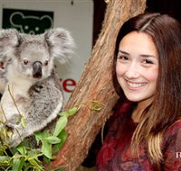 Blackbutt Reserve - Accommodation 4U