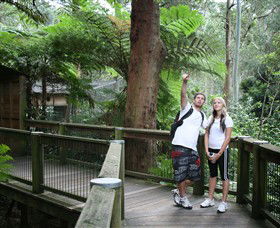 Blackbutt Reserve - Accommodation 4U 1