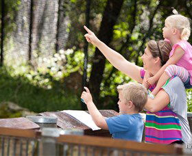 Blackbutt Reserve - Accommodation 4U 4