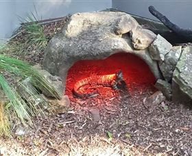 Blackbutt Reserve - Accommodation 4U 8