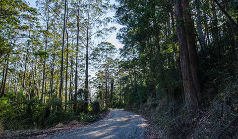 Hastings Forest Way Touring Route - Accommodation 4U 3