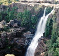 Minnamurra Rainforest Centre Budderoo National Park - Accommodation 4U