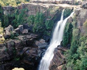 Minnamurra Rainforest Centre: Budderoo National Park - Accommodation 4U 0
