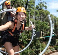 Wild Ropes at Taronga Zoo - Accommodation 4U
