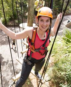 Wild Ropes At Taronga Zoo - Accommodation 4U 3