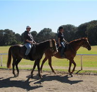 Centennial Parklands Equestrian Centre - Accommodation 4U