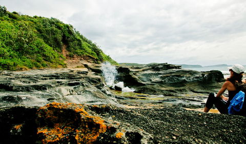 Glenrock State Conservation Area - Accommodation 4U 0