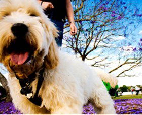Tuckeroo Park - Accommodation 4U 0