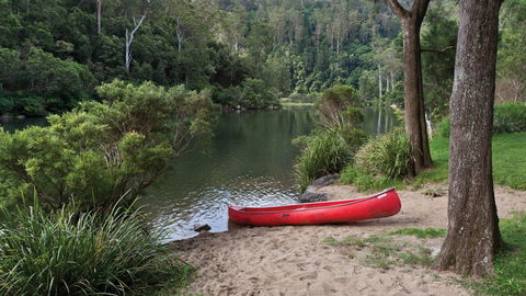 Nymboi-Binderay National Park - Accommodation 4U 1
