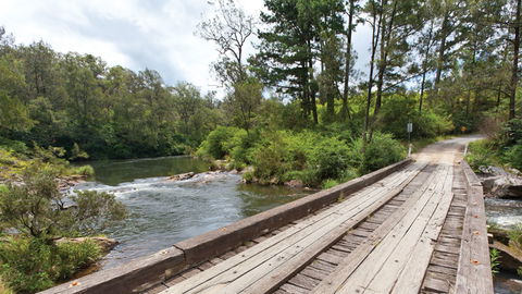 Nymboi-Binderay National Park - Accommodation 4U 2