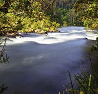Nymboi-Binderay National Park - Accommodation 4U