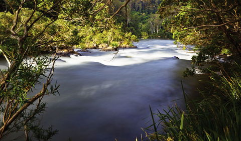 Nymboi-Binderay National Park - Accommodation 4U 0