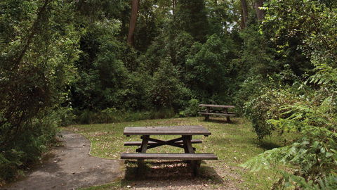 Nymboi-Binderay National Park - Accommodation 4U 3