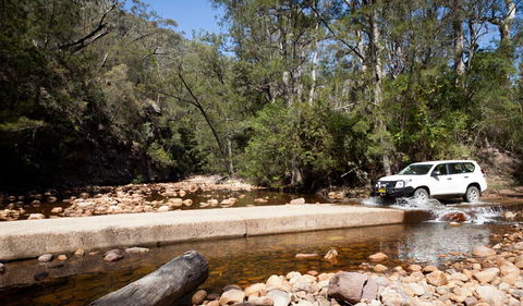 Wadbilliga Road Drive - Accommodation 4U 2
