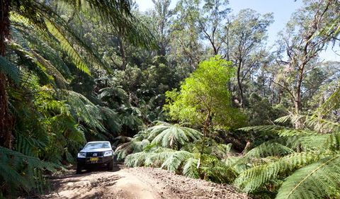 Wadbilliga Road Drive - Accommodation 4U 3