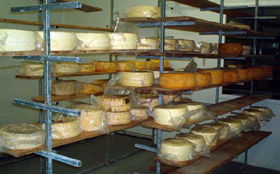 Harvey Cheese - Accommodation 4U 0