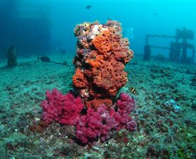 HMAS Brisbane Dive Site - Accommodation 4U 0