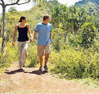 Hoddles Track - Accommodation 4U