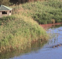 Spring Creek Bird Hide - Accommodation 4U