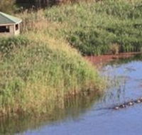 Spring Creek Wetlands Walk - Accommodation 4U