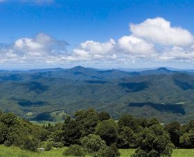 Griffith Lookout - Accommodation 4U 0