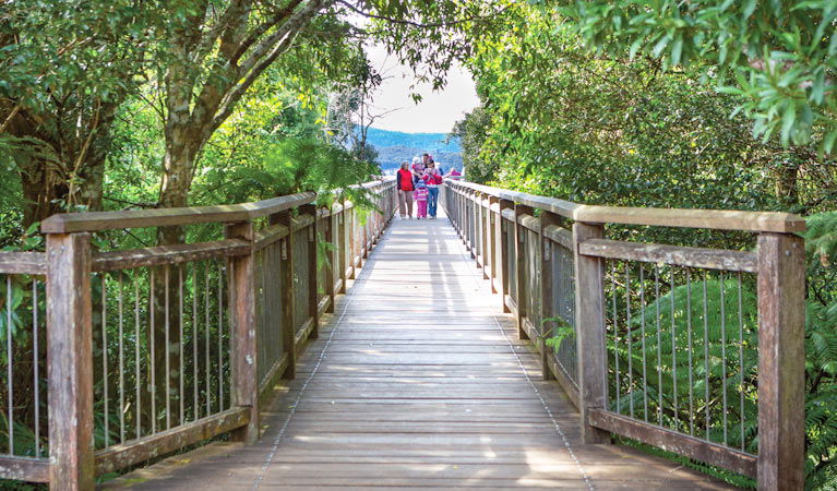 Dorrigo Mountain NSW Accommodation 4U