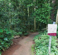 Walk with the Birds boardwalk - Accommodation 4U
