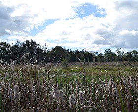 Jabiru Geenbeebeinga Wetlands - Accommodation 4U 1
