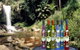 Tamborine Mountain Distillery - thumb 2