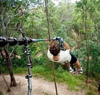 TreeTop Challenge - Accommodation 4U