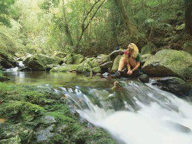 Lower Ballanjui Falls - Accommodation 4U 0