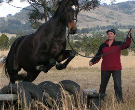 Kings Creek Saddle Club - Accommodation 4U 5