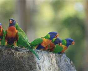 Murrayâ€™s Brewery And Port Stephens Winery - Accommodation 4U 3