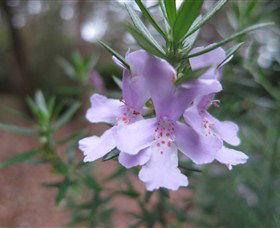 Booderee National Park Botanic Gardens - Accommodation 4U 5