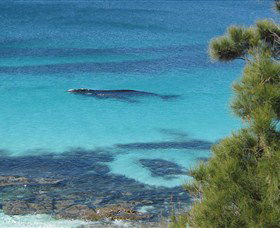 Jervis Bay Marine Park - Accommodation 4U 0