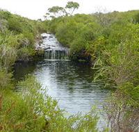 Booderee National Park Green Patch and Telegraph Creek Walking Tracks - Accommodation 4U