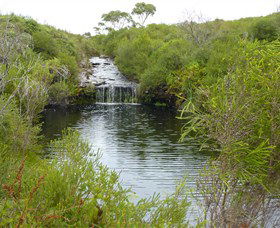 Booderee National Park: Green Patch And Telegraph Creek Walking Tracks - Accommodation 4U 0