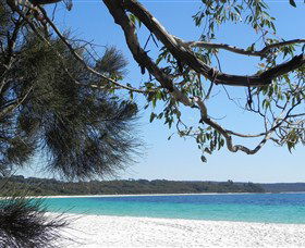 Booderee National Park: Green Patch And Telegraph Creek Walking Tracks - Accommodation 4U 6
