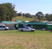 Tinonee Orchid Nursery - Accommodation 4U