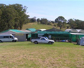 Tinonee Orchid Nursery - Accommodation 4U 0