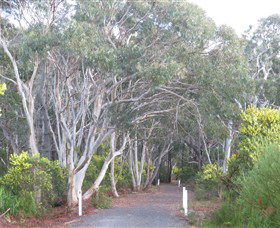 Booderee National Park: Munyunga Waraga Dhugan Walking Trail - Accommodation 4U 3