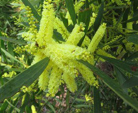Booderee National Park: Munyunga Waraga Dhugan Walking Trail - Accommodation 4U 1