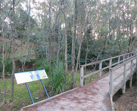 Booderee National Park: Munyunga Waraga Dhugan Walking Trail - Accommodation 4U 8
