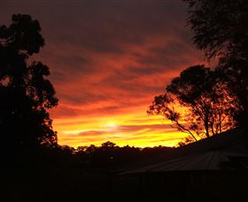 Tinonee Museum - Accommodation 4U 0