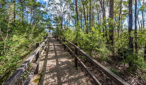 Flat Rock Lookout - Accommodation 4U 2