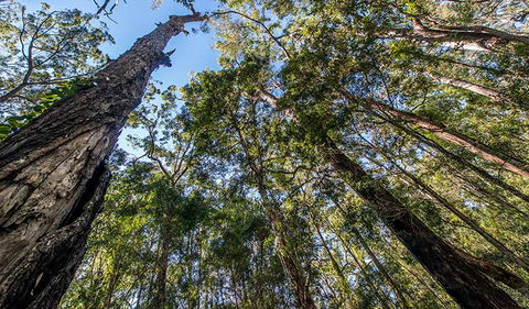 Brimbin Nature Reserve - Accommodation 4U 3