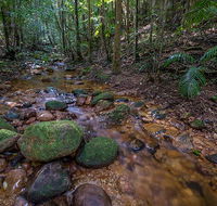 Starrs Creek picnic area - Accommodation 4U