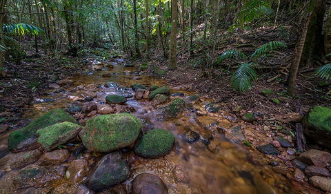 Starrs Creek Picnic Area - Accommodation 4U 0