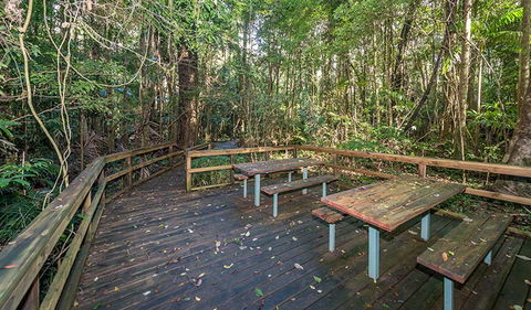 Starrs Creek Picnic Area - Accommodation 4U 1