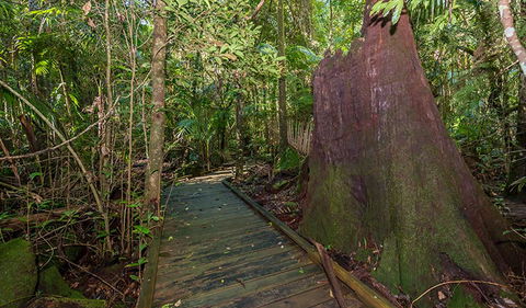 Starrs Creek Picnic Area - Accommodation 4U 2